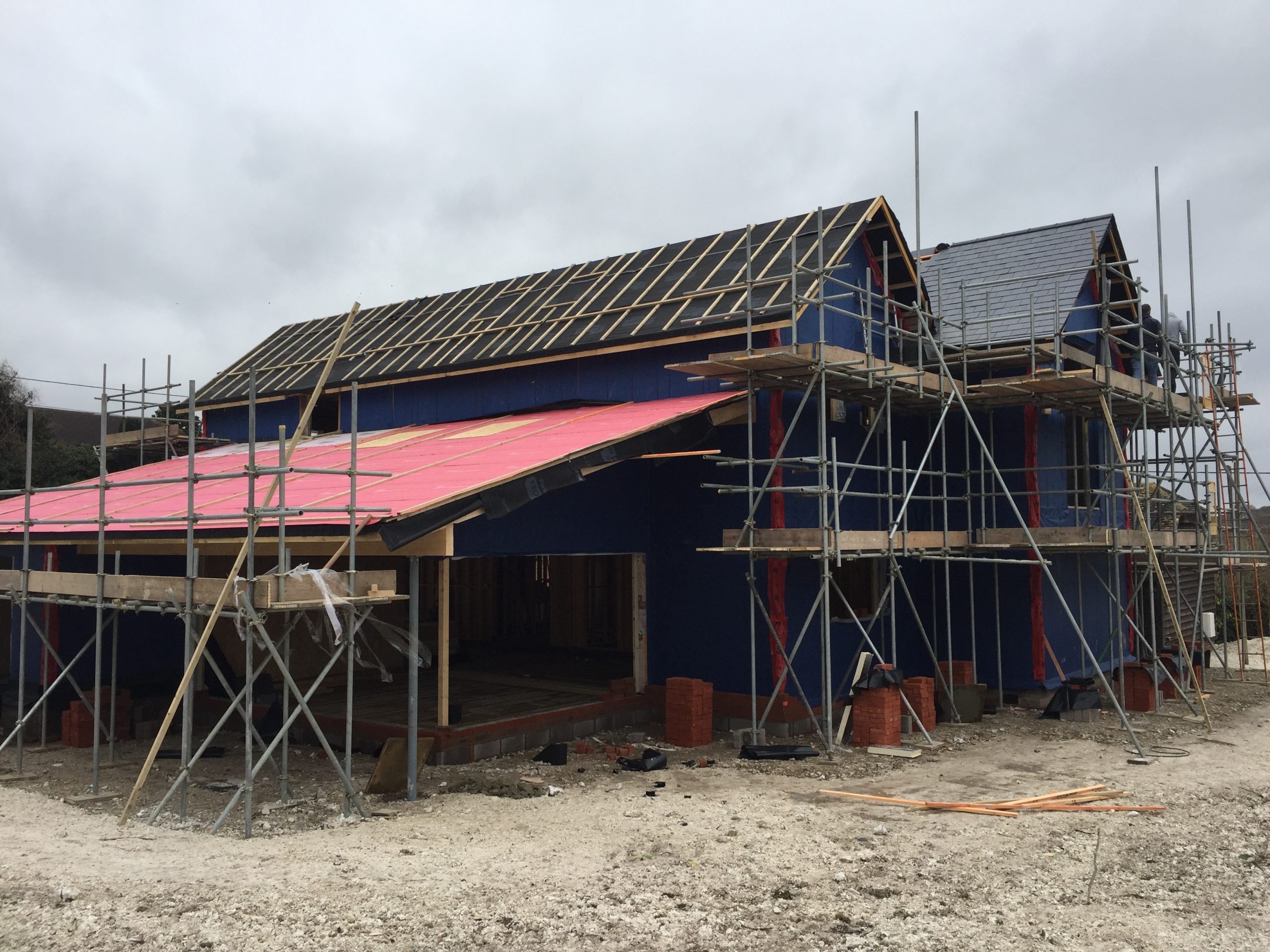 bp website 1 7 1 scaled.jpg